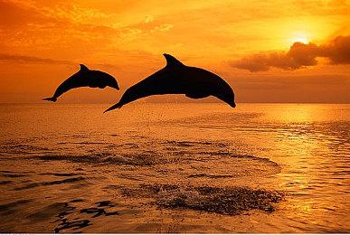 定档9·20，腾讯游戏x育碧首款3A射击大作《全境封锁2》国服预约正式开启！